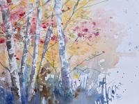 Autumn Birch Trees