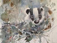 Coming into the Light Badger coming forwards out of the undergrowth