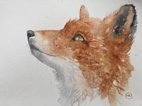 Something in the Air