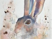 Hiding Brown hare crouching amongst dandelion heads in a meadow