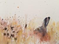Keeping Safe Small hare's head and shoulders in golden/red field