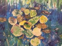 Waterlilies at Wicken Fen