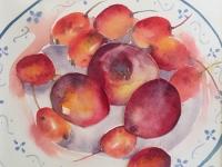 Plums and Nectarines