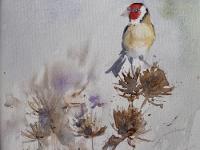 A goldfinch sits on top of some teasels