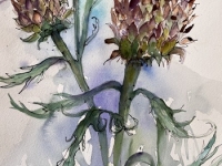 On the Edge of the Meadow