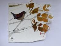 Windblown Small brown bird blown with the Autumn leaves