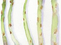 Asparagus