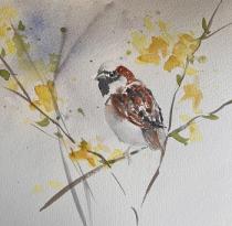 Little sparrow sitting within a forsythia bush