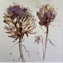 Two artichokes in ink and watercolour against a white background.