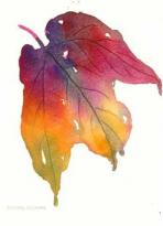 Autumn_leaf_7