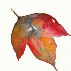 Autumn_leaf_6