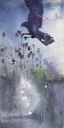 Bird of prey about to descend into the water