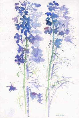 Blue_Delphiniums_Shadow