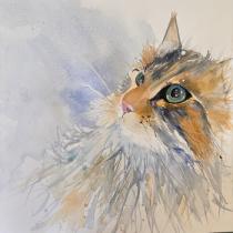 Abyssinian cat ginger and dark brown looking upwards from right hand corner. 