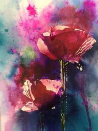 Red/pink poppies against a red/blue background