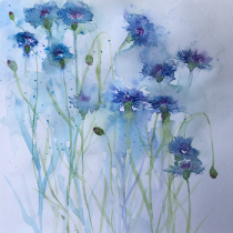 Blue cornflowers against a pale blue background