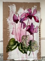 Cyclamen on cardboard