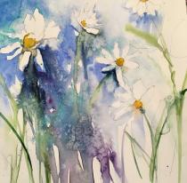 White daisies amongst colours of meadow flowers; blue background