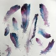 Feathers in blues and purples drifting across the page