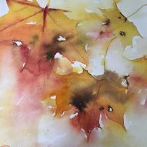 Yellows, oranges and reds in flling Autumn leaves