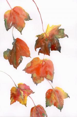 Falling Leaves