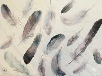 Assorted grey/blue feathers scattered together