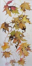 Yellow/gold autumn leaves tumbling downwards