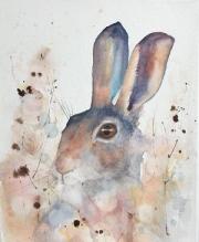 Brown hare crouching amongst dandelion heads in a meadow