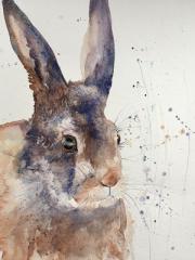 Large brown hare against a white background with suggestion of grasses