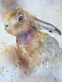 Blue grey/mauve hare looking out from a misty field