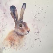 Brown hare in profile with scattered grasses