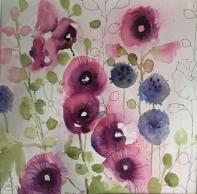 Pink and blue hollyhocks and buds growing together