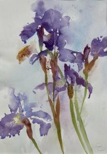 Blue irises against a pale blue background