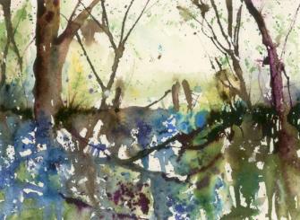 Trees with carpet of bluebells and gate in the distance