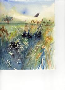 Bird flying across water and reeds