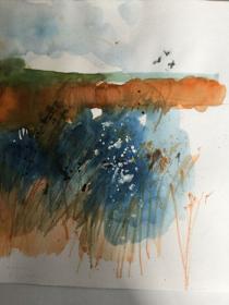 Band of gold, blue water and birds Wicken Fen