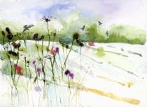 The Glistening snowy landscape with winter stems in foreground.