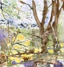 Cows glimpsed through trees and daffodils