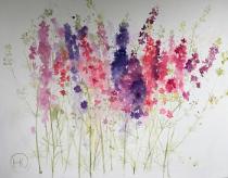 Larkspur in various colours against a white background