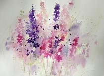Pink purple and mauve larkspur stems against a white background