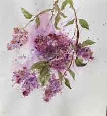 Lilac blossoms against a white background.