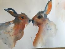 Two brown hares looking at each other against a white background