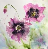 Two mauve poppies in full bloom with a bud againstagreen/blue background