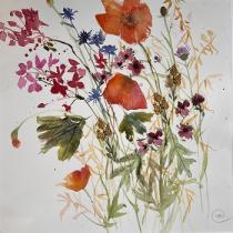 Poppies, cornflowers, buttercups all in the meadow grasses.