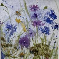 Cornflowers and bees in a meadow setting