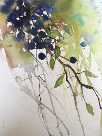 Sloe berries diagonally growing against a blue/green background