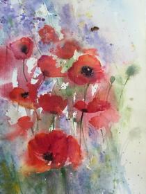 Vibrant poppies against a blue/mauve background with bee