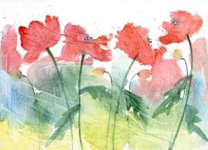 Poppies