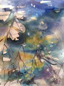 Blue green/gold reflections playing amongst water lilies, dappled in light