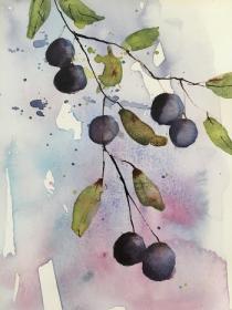 A branch of blue mauve sloes against a blue background